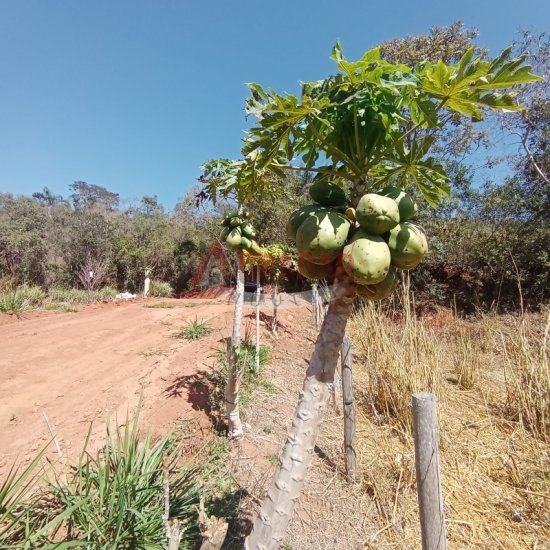 lote-venda-bandeirinha-ouro-preto-mg-913612