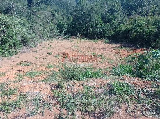 lote-venda-parque-bela-vista-cachoeira-do-campo-op-mg-695819