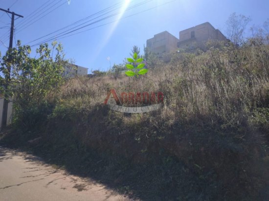 lote-venda-lote-liberdade-mariana-420783