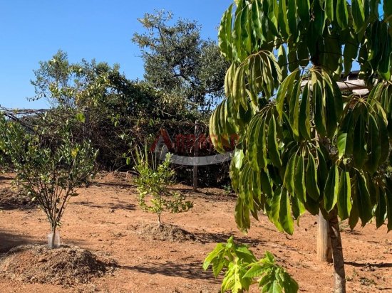 chacara-venda-bandeirinha-cachoeira-do-campo-532707