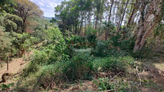 lote-venda-dom-bosco-cachoeira-do-campo-op-800421