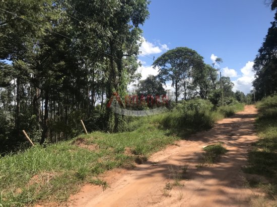 lote-venda-dom-bosco-cachoeira-do-campo-op-848493