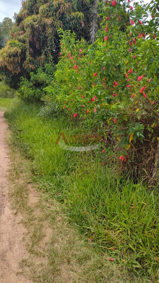 fazenda-venda-estrada-real-cachoeira-do-campo-op-802484