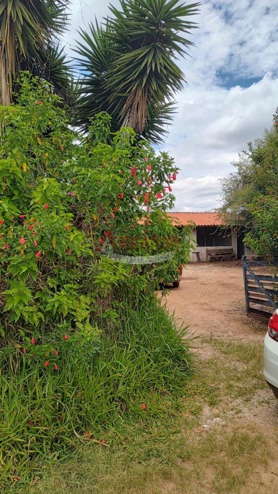 fazenda-venda-estrada-real-cachoeira-do-campo-op-802485