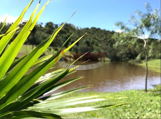 lote-venda-paragem-do-tripui-amarantina-op-1013794