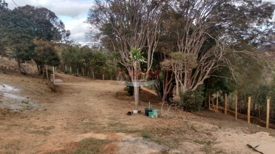 sitio-venda-cachoeira-do-campo-estrada-de-madureira-374085