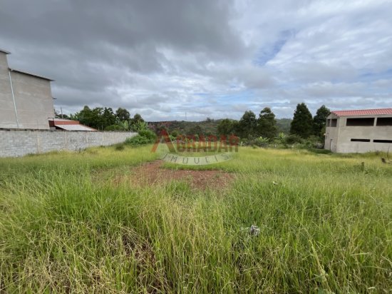 lote-venda-parque-da-lagoa-cachoeira-do-campo-1019026