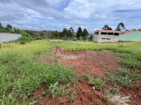 lote-venda-parque-da-lagoa-cachoeira-do-campo-1019027