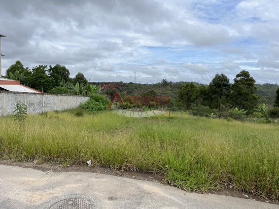 lote-venda-parque-da-lagoa-cachoeira-do-campo-1019031