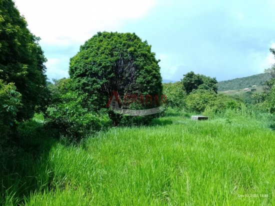 lote-venda-glaura-ouro-preto-633609