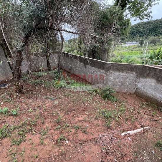 casa-venda-bela-vista-cachoeira-do-campo-1015556