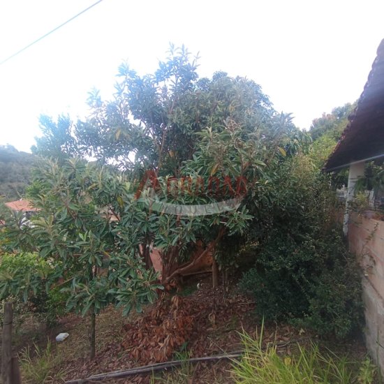 casa-venda-riacho-amarantina-op-mg-1006044