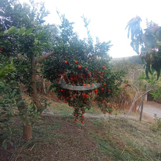 casa-venda-riacho-amarantina-op-mg-1006042