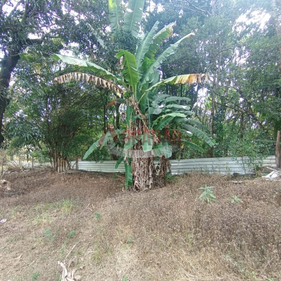 lote-venda-santo-antonio-do-leite-ouro-preto-mg-1006055