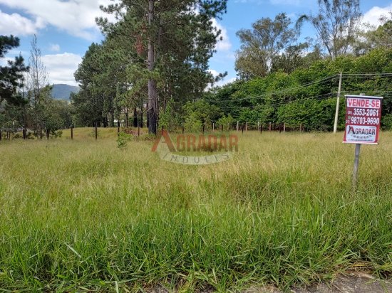 lote-venda-cachoeira-do-campo-op-999873
