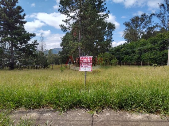 lote-venda-cachoeira-do-campo-op-999874