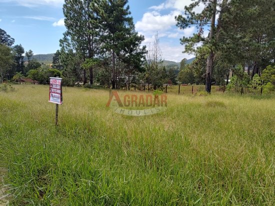 lote-venda-cachoeira-do-campo-op-999875