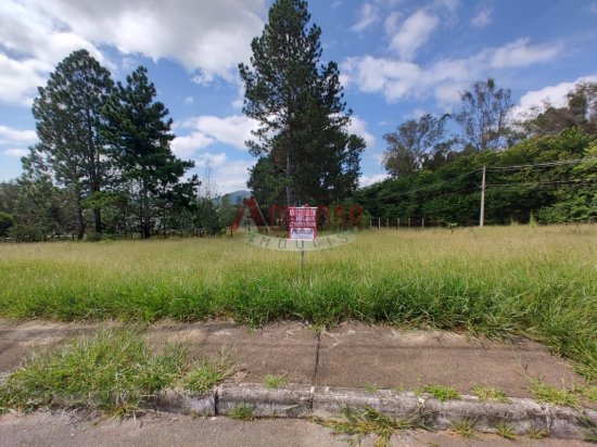 lote-venda-cachoeira-do-campo-op-999876