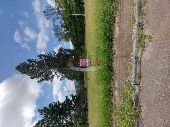 lote-venda-cachoeira-do-campo-op-999877