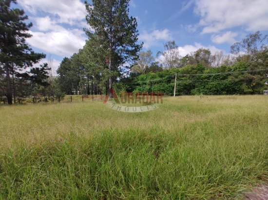 lote-venda-cachoeira-do-campo-op-999878