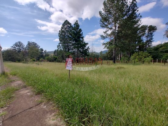 lote-venda-cachoeira-do-campo-op-999879