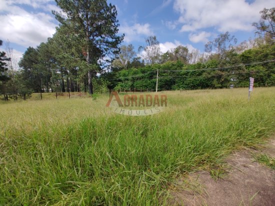 lote-venda-cachoeira-do-campo-op-999881