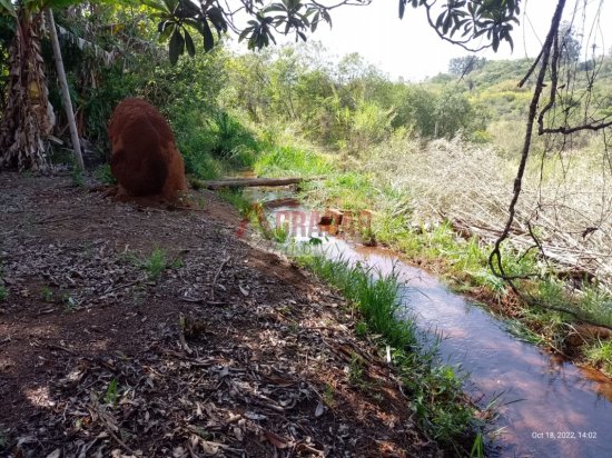 sitio-venda-maracuja-ouro-preto-604188