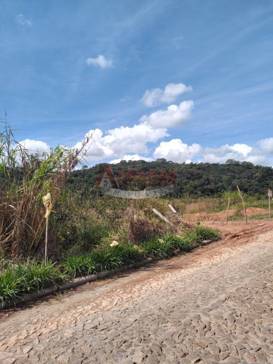 lote-venda-maracuja-ouro-preto-997988