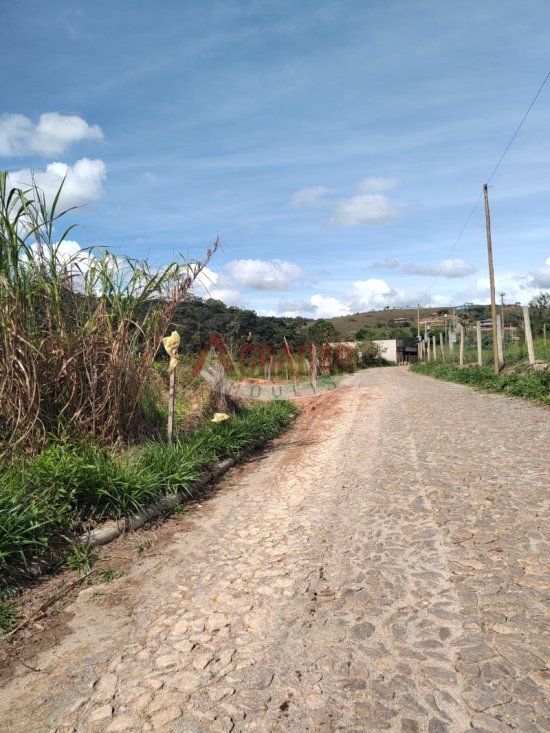 lote-venda-maracuja-ouro-preto-997989