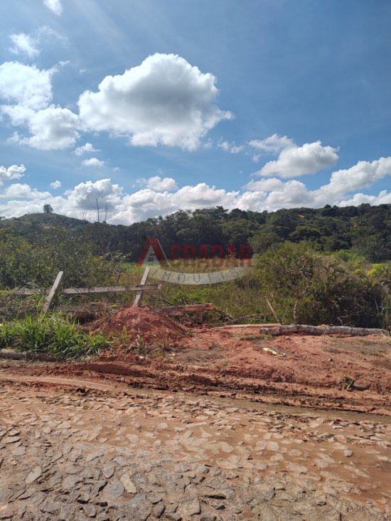 lote-venda-maracuja-ouro-preto-997992