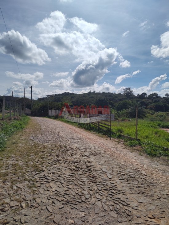 lote-venda-maracuja-ouro-preto-997993