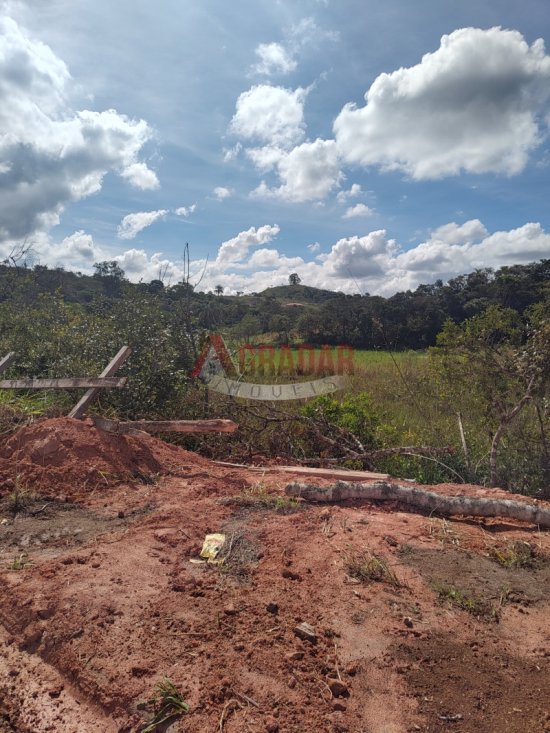 lote-venda-maracuja-ouro-preto-997994