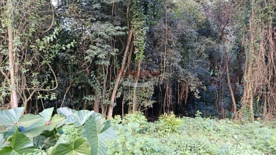 lote-venda-bocaina-ouro-preto-mg-1023514