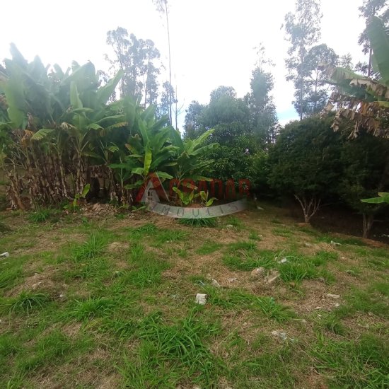 galpao-venda-alto-da-beleza-cachoeira-do-campo-op-mg-1004037