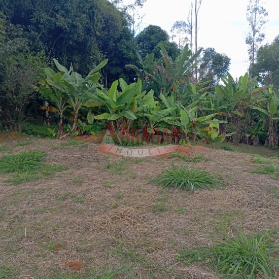 galpao-venda-alto-da-beleza-cachoeira-do-campo-op-mg-1004054