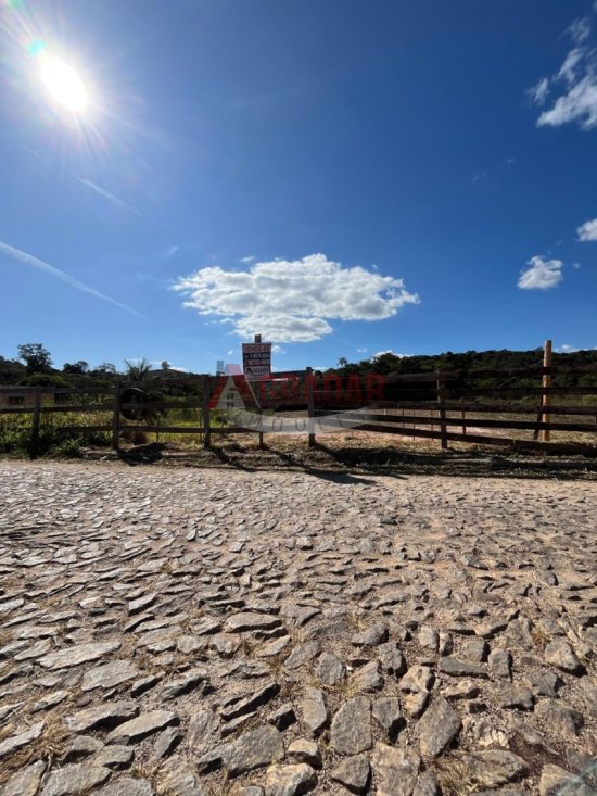 lote-venda-maracuja-ouro-preto-1002345