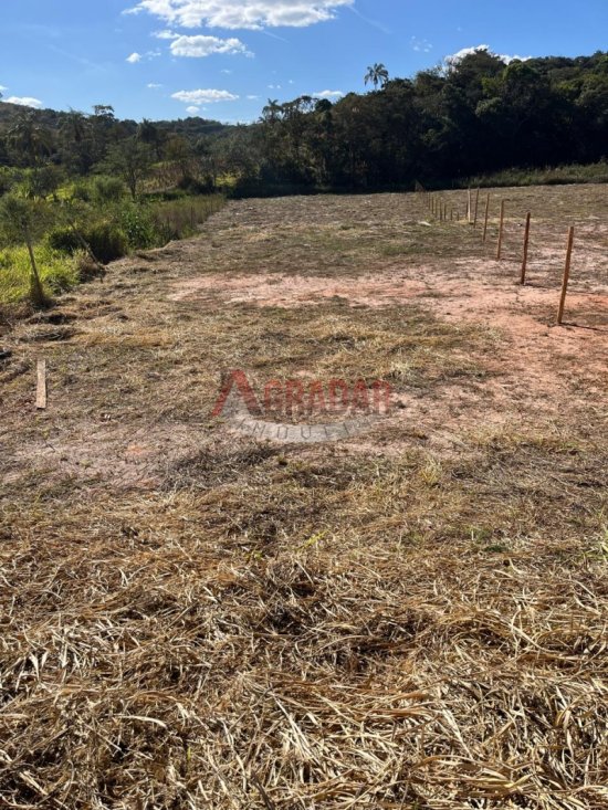 lote-venda-maracuja-ouro-preto-1002346