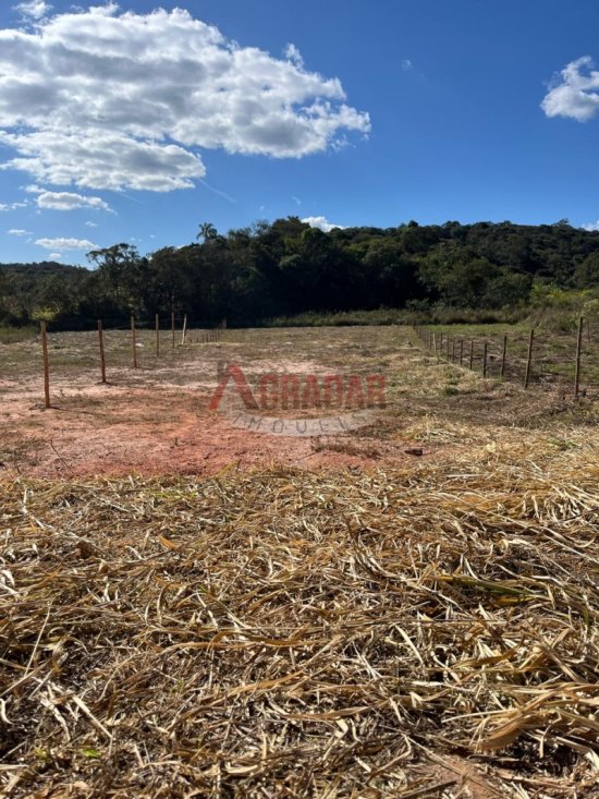 lote-venda-maracuja-ouro-preto-1002347