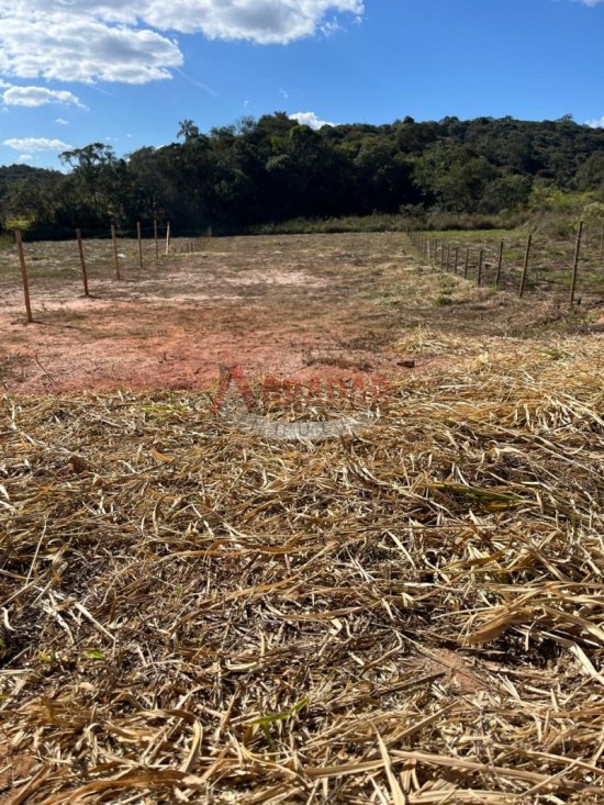 lote-venda-maracuja-ouro-preto-1002348