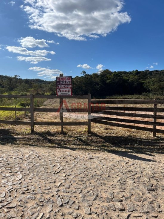 lote-venda-maracuja-ouro-preto-1002336