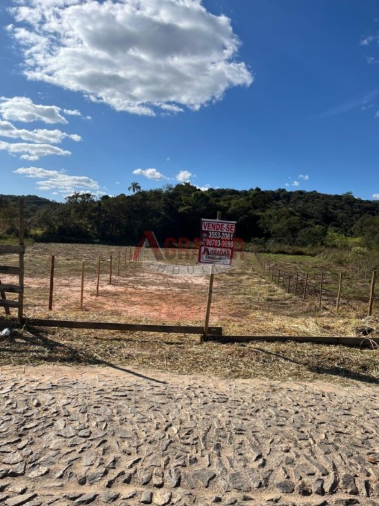 lote-venda-maracuja-ouro-preto-1002338