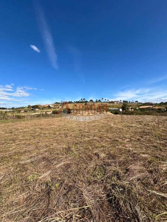 lote-venda-maracuja-ouro-preto-1002341