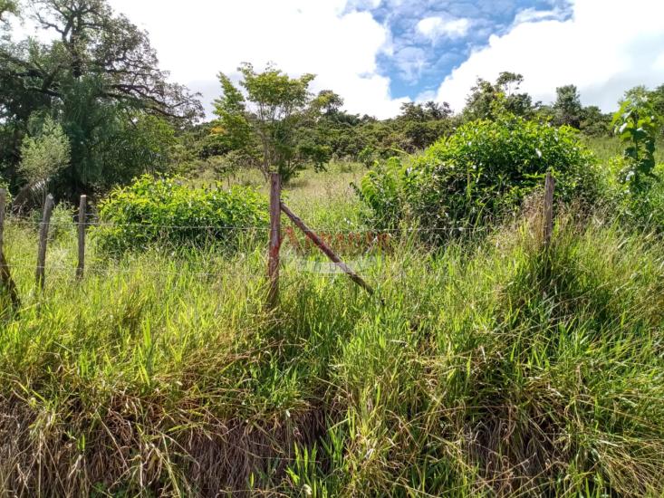 lote-venda-balneario-de-magalhaes-represa-da-fumaca-mariana-mg-1028762