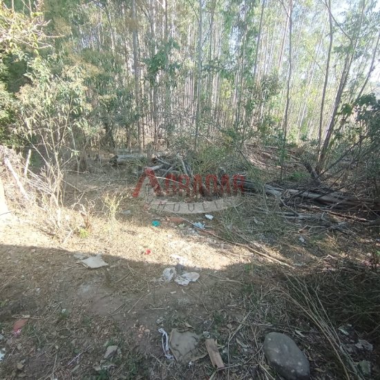 casa-venda-cachoeira-do-campo-op-mg-907487