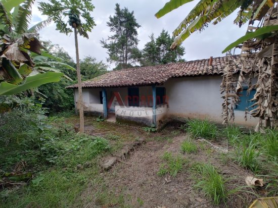 chacara-venda-riacho-cachoeira-do-campo-op-998154