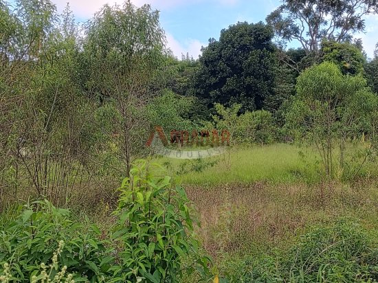 chacara-venda-riacho-cachoeira-do-campo-op-998151