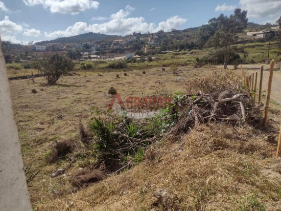 lote-venda-cachoeira-do-campo-ouro-preto-558107