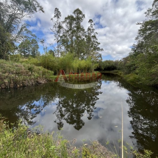 fazenda-venda-bom-sucesso-itabirito-mg-1008808