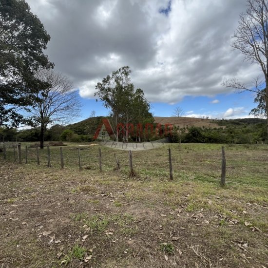 fazenda-venda-bom-sucesso-itabirito-mg-1008836