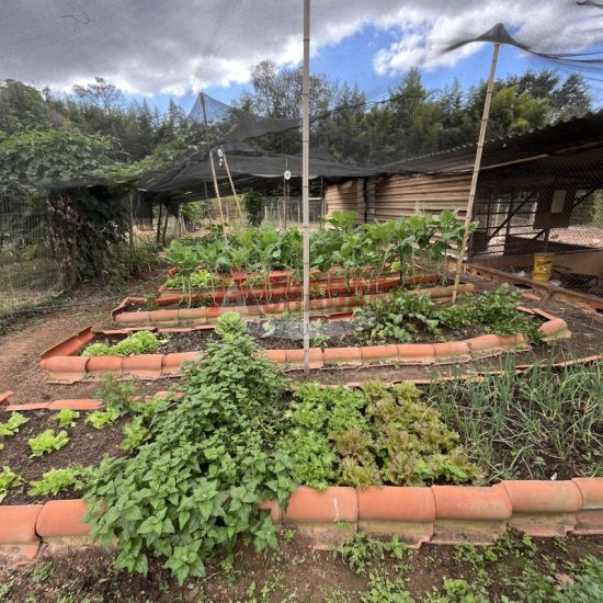 fazenda-venda-bom-sucesso-itabirito-mg-1008841